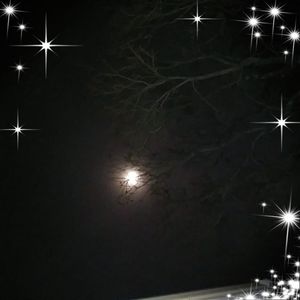 Meet your Posher, Debby